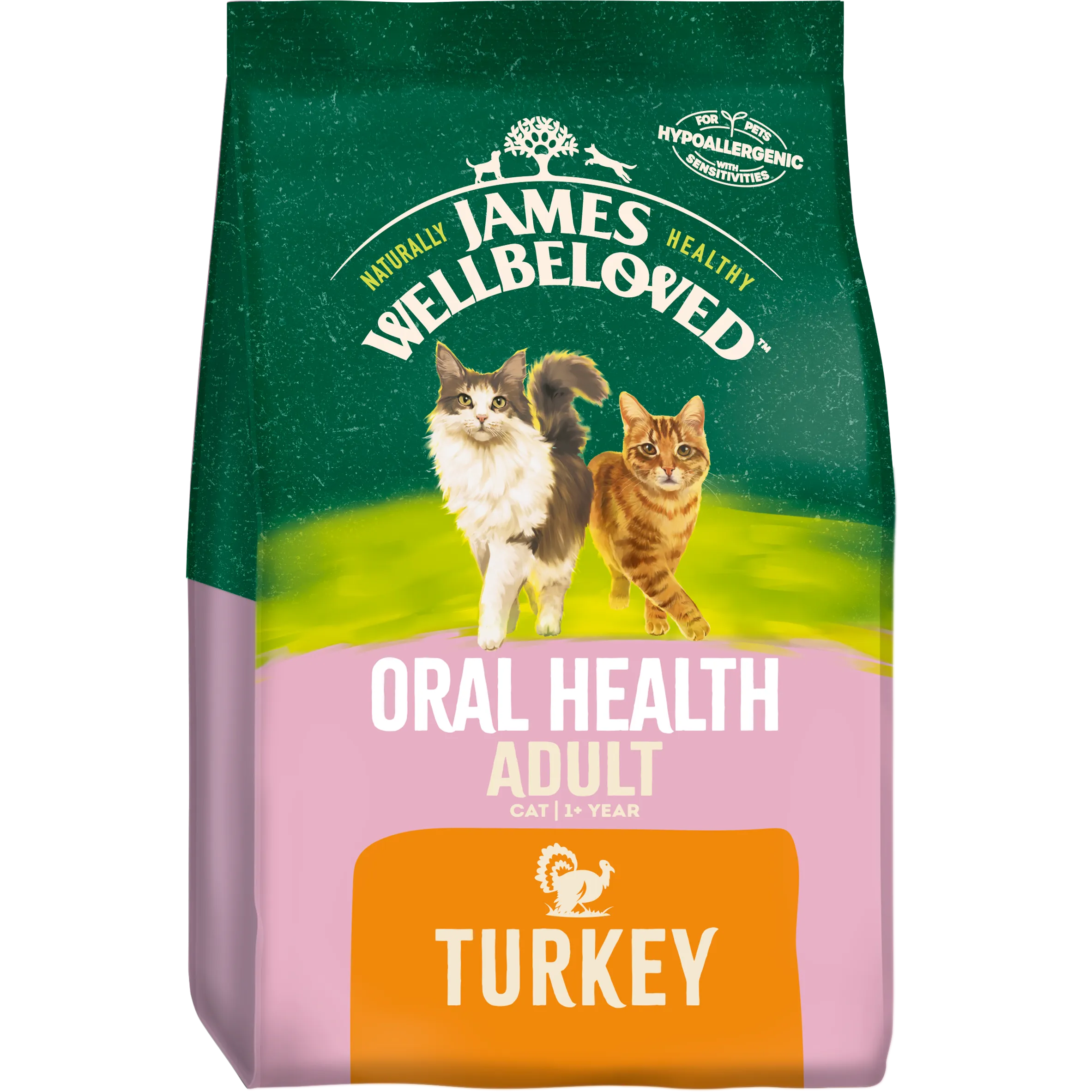 Adult Turkey Oral Health Dry Cat Food