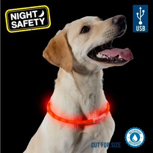 Ancol High Visibility Halo Safety Band Flashing Dog Collar Orange One Size