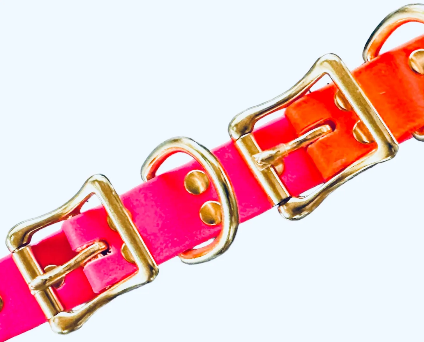 Biothane Waterproof Dog Collar, Passion Fruit Pink with Solid Brass Rustproof Hardware