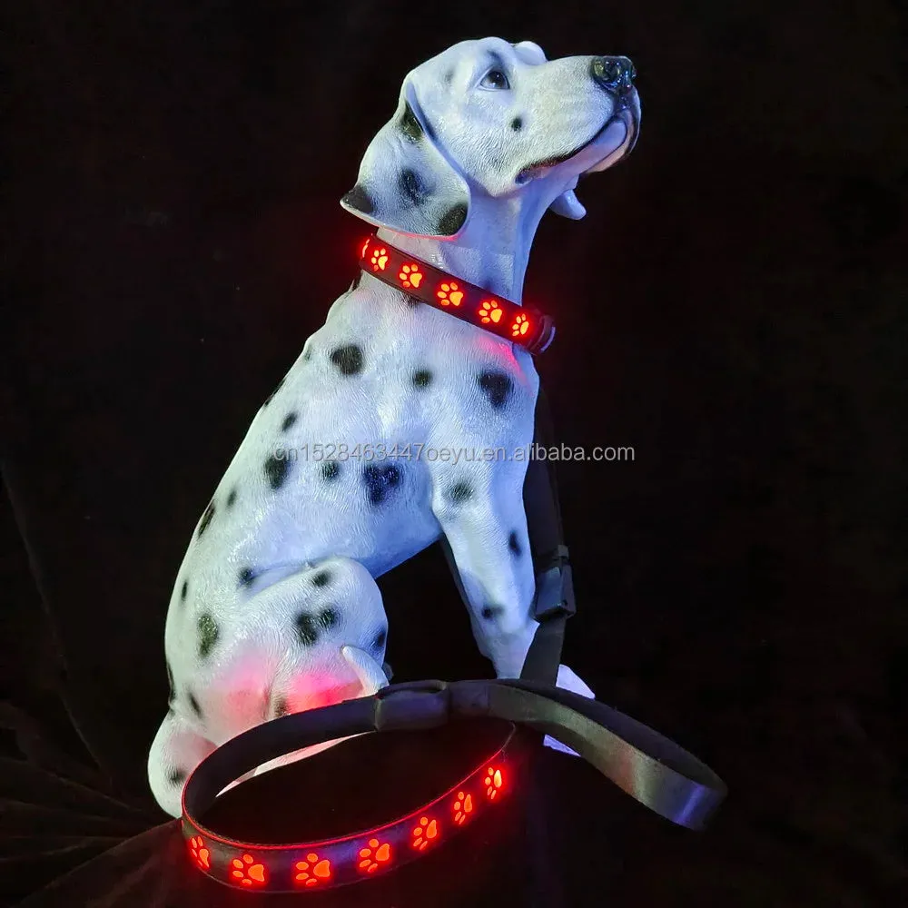 CC SIMON Rechargeable LED Dog Collar - Enhanced Night Safety with Multiple Flash Modes