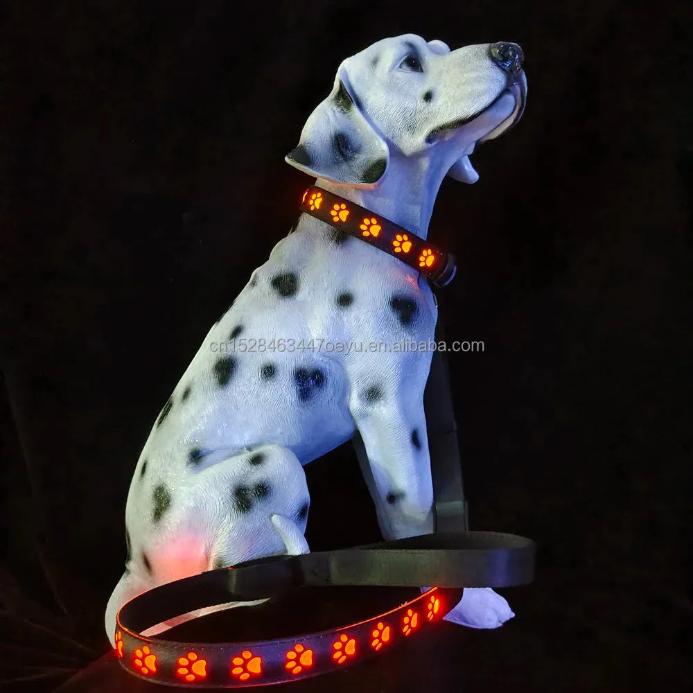 CC SIMON Rechargeable LED Dog Collar - Enhanced Night Safety with Multiple Flash Modes