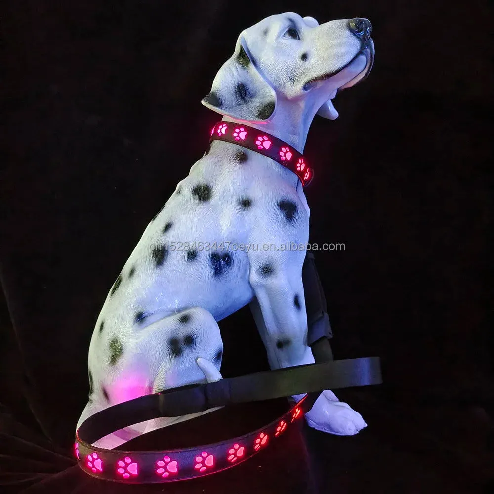 CC SIMON Rechargeable LED Dog Collar - Enhanced Night Safety with Multiple Flash Modes