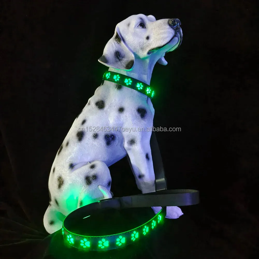 CC SIMON Rechargeable LED Dog Collar - Enhanced Night Safety with Multiple Flash Modes