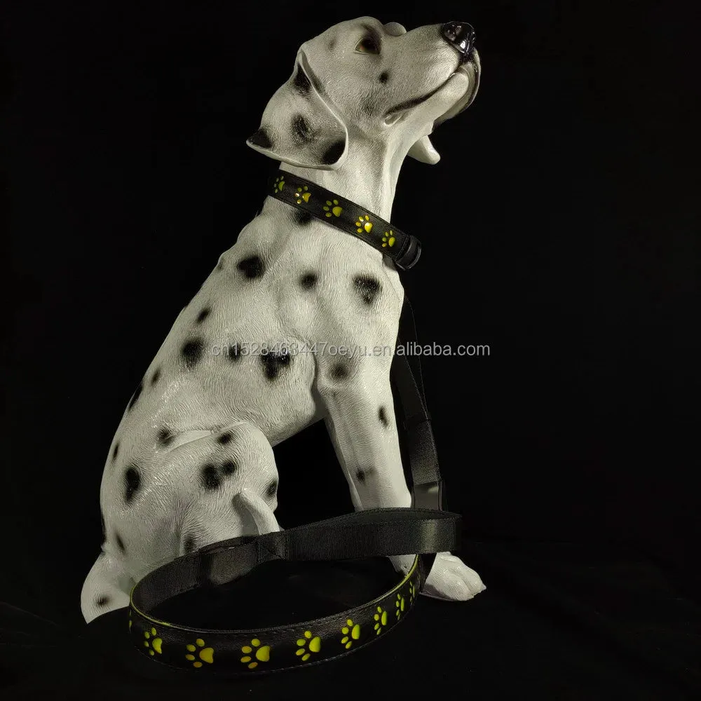 CC SIMON Rechargeable LED Dog Collar - Enhanced Night Safety with Multiple Flash Modes