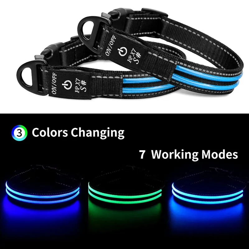 CC SIMON Rechargeable LED Dog Collar - Enhanced Night Safety with Multiple Flash Modes