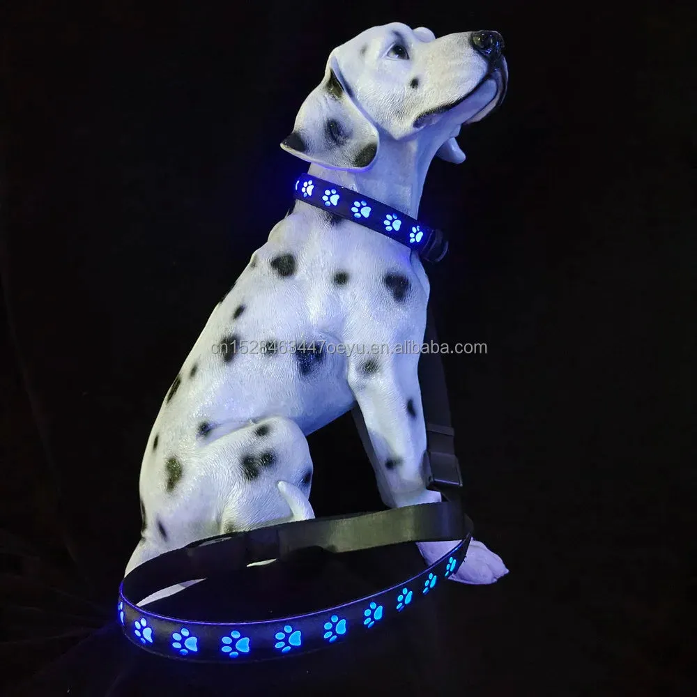 CC SIMON Rechargeable LED Dog Collar - Enhanced Night Safety with Multiple Flash Modes