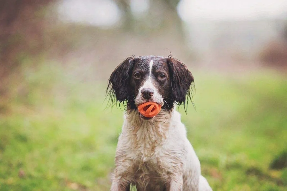 ChuckIt! Breathe Right (Air) Fetch Ball