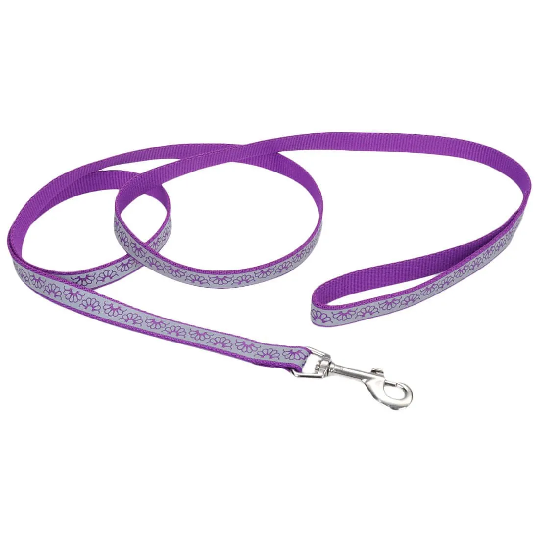 Coastal Pet Lazer Brite Dog Leash, 6' x 5/8"