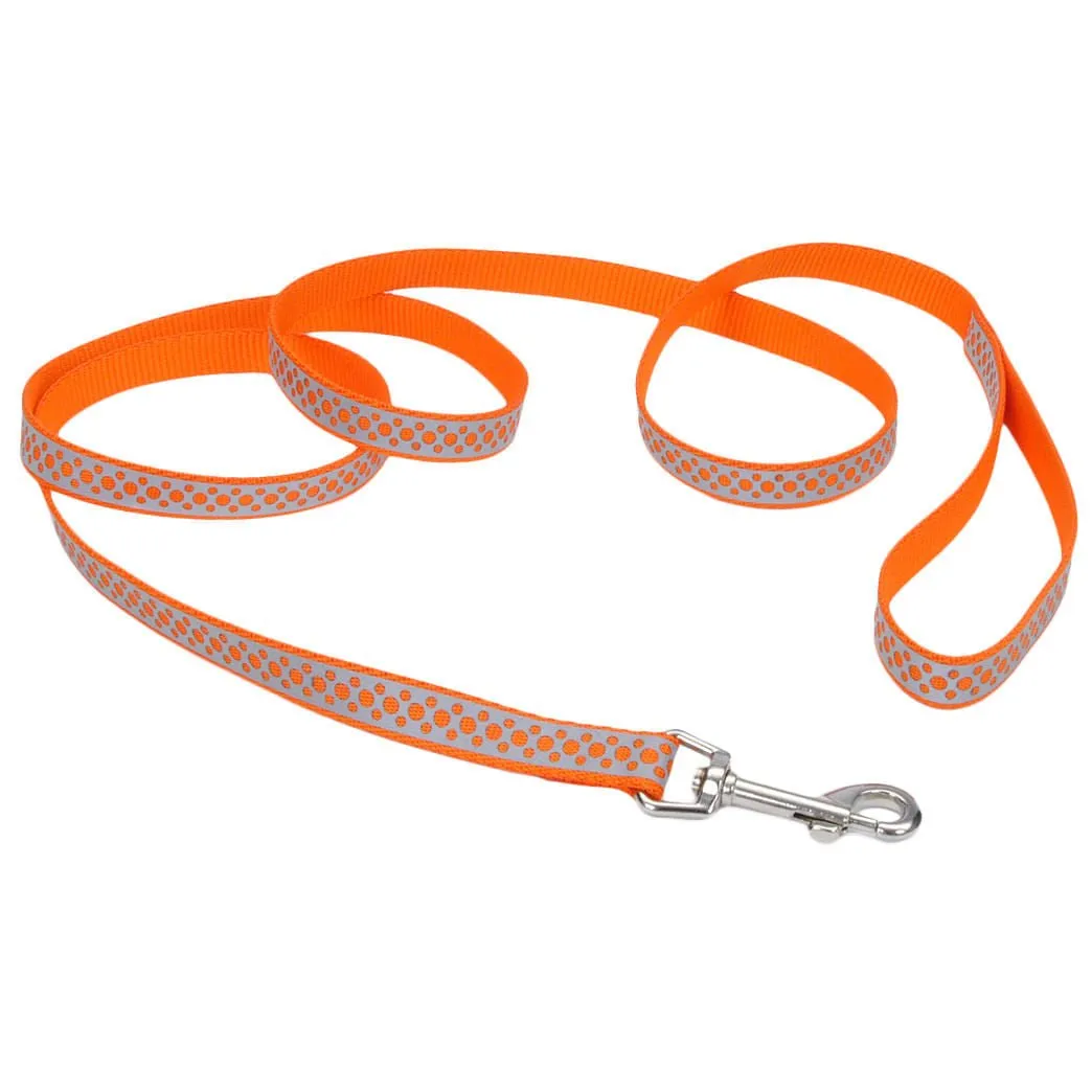 Coastal Pet Lazer Brite Dog Leash, 6' x 5/8"