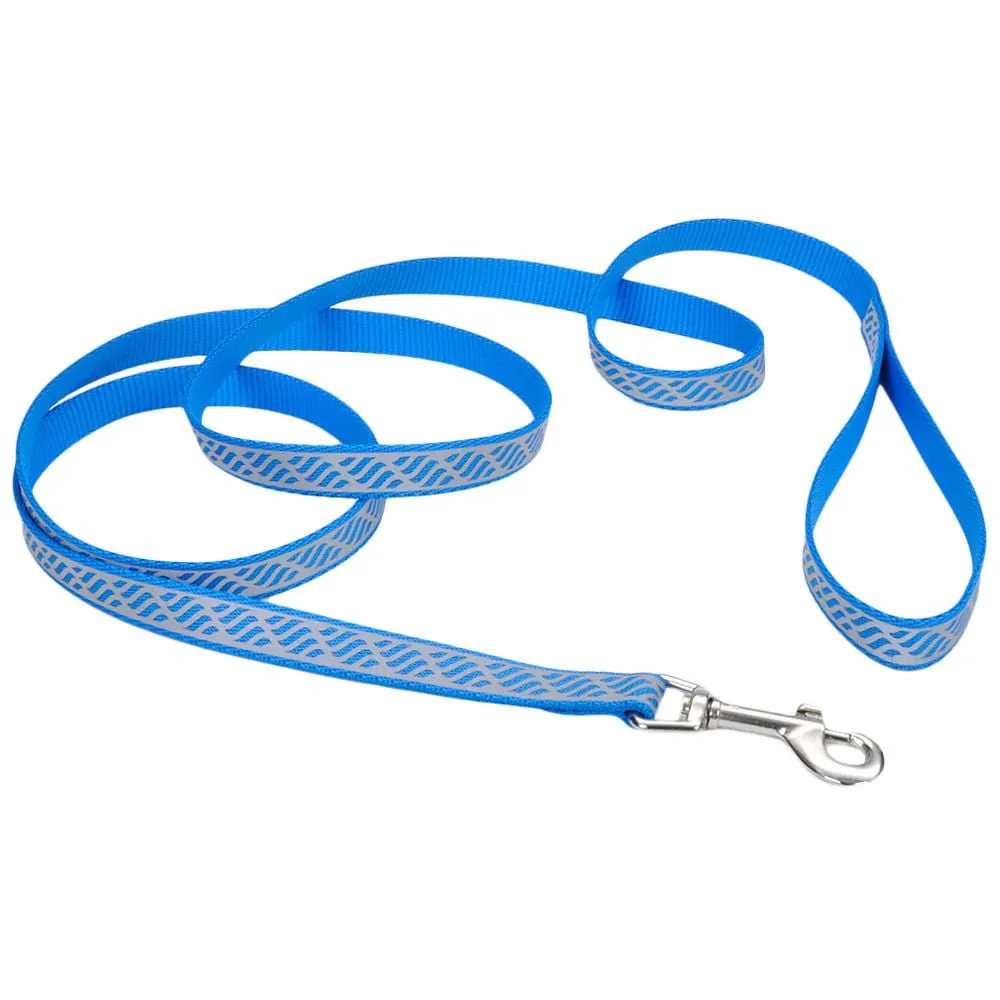 Coastal Pet Lazer Brite Dog Leash, 6' x 5/8"