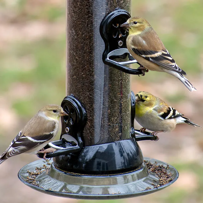 Droll Yankees 24" Onyx Clever Clean Nyjer® Seed Feeder