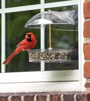 Droll Yankees Winner Window Feeder