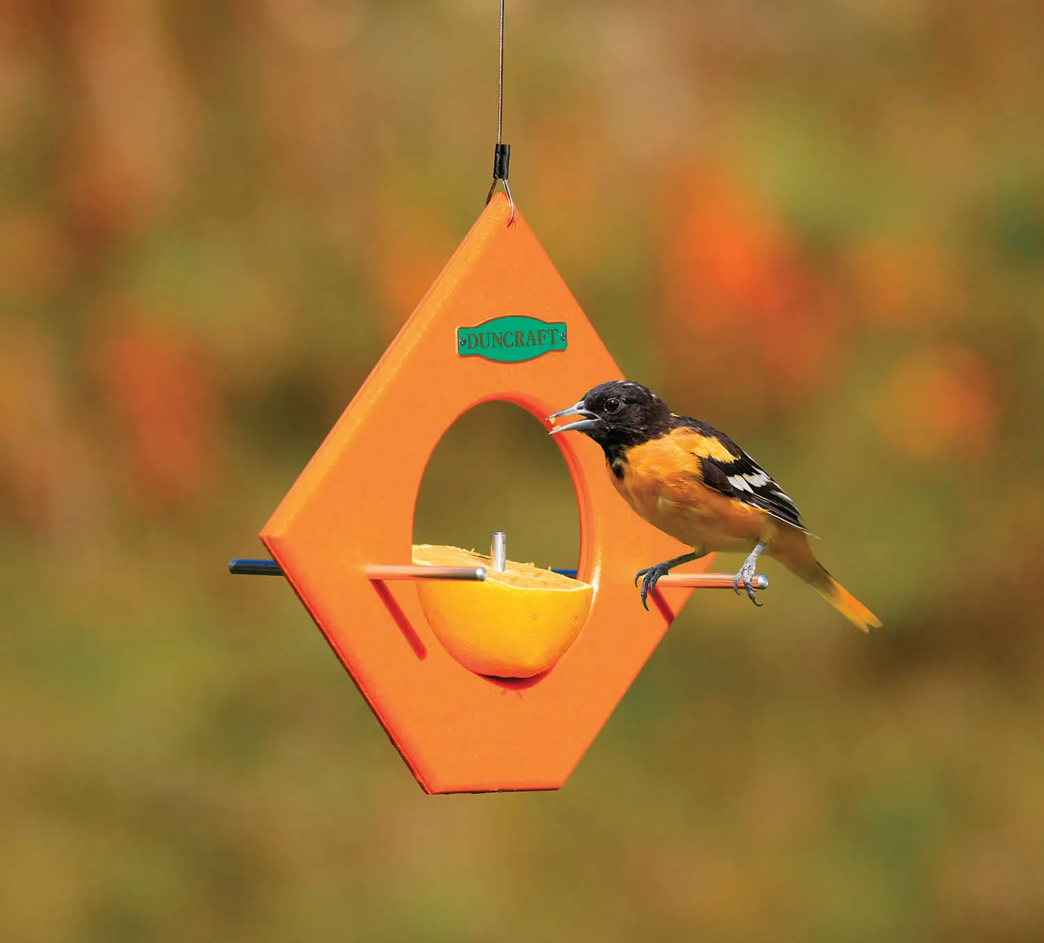 Duncraft Eco-Friendly Orange Fruit Feeder