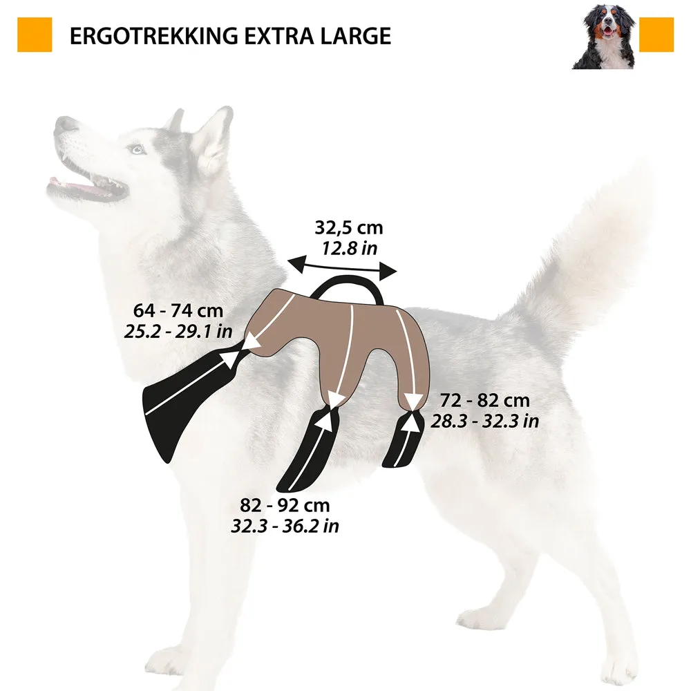 ERGOTREKKING