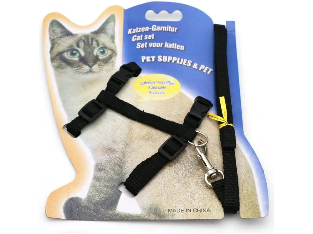 Fluorescent Solid Color Cat Belt