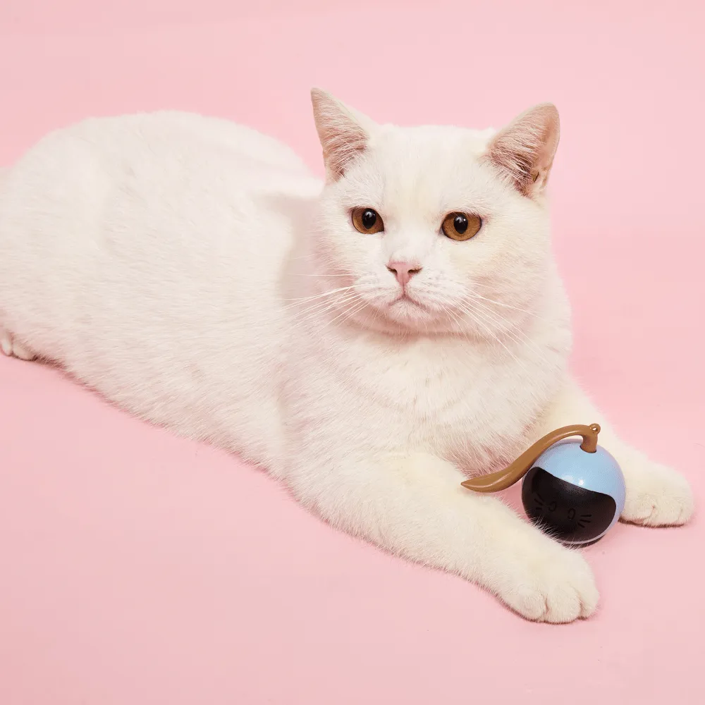 Fofos Magic Ball Tumbler Toy for Cats