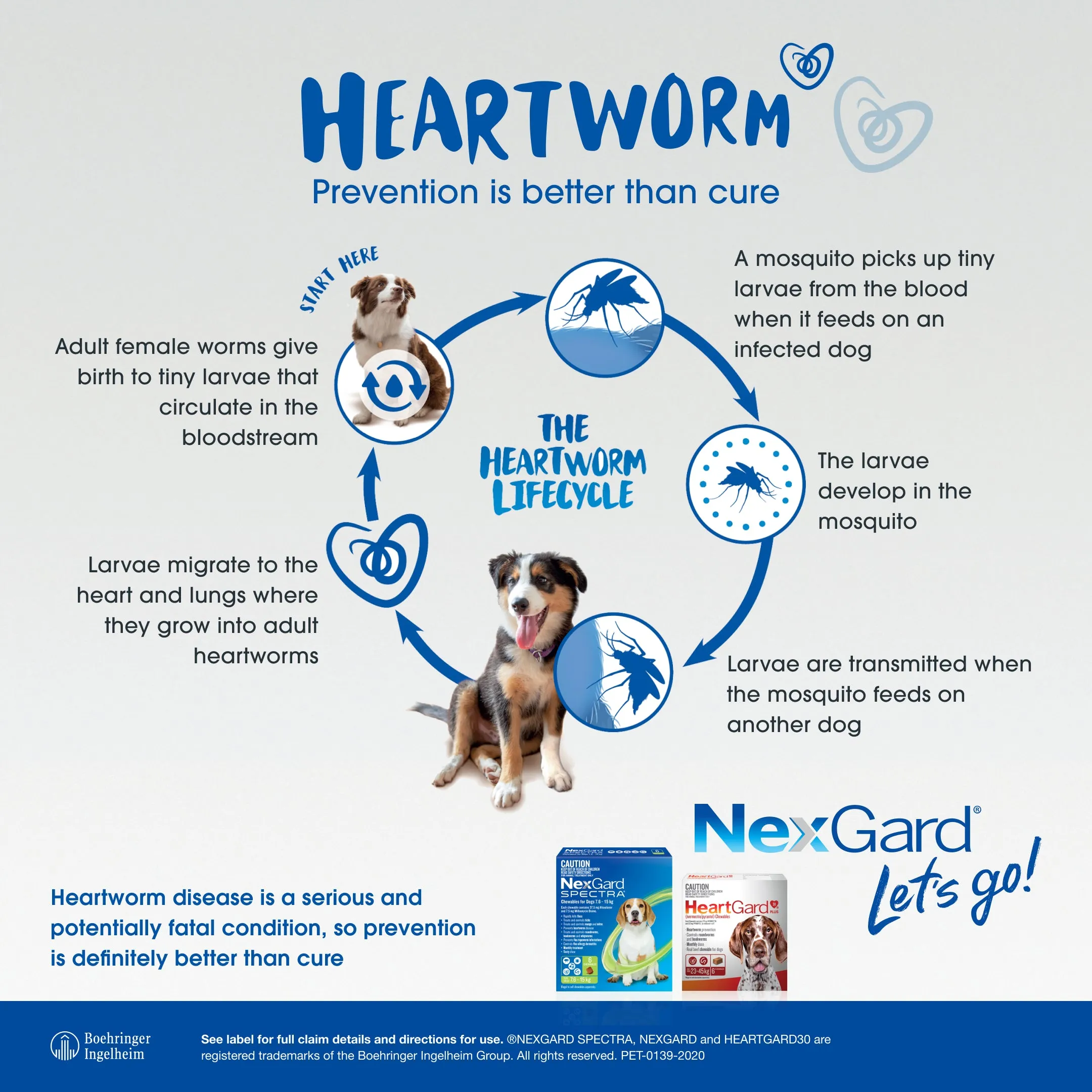 Heartgard Plus Chews For Dogs 12-22kg 6 Pack