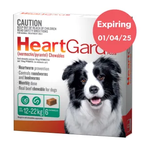 Heartgard Plus Chews For Dogs 12-22kg 6 Pack