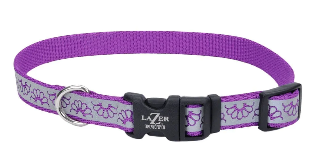 Lazer Brite 1" Dog Collar, 18"-26"