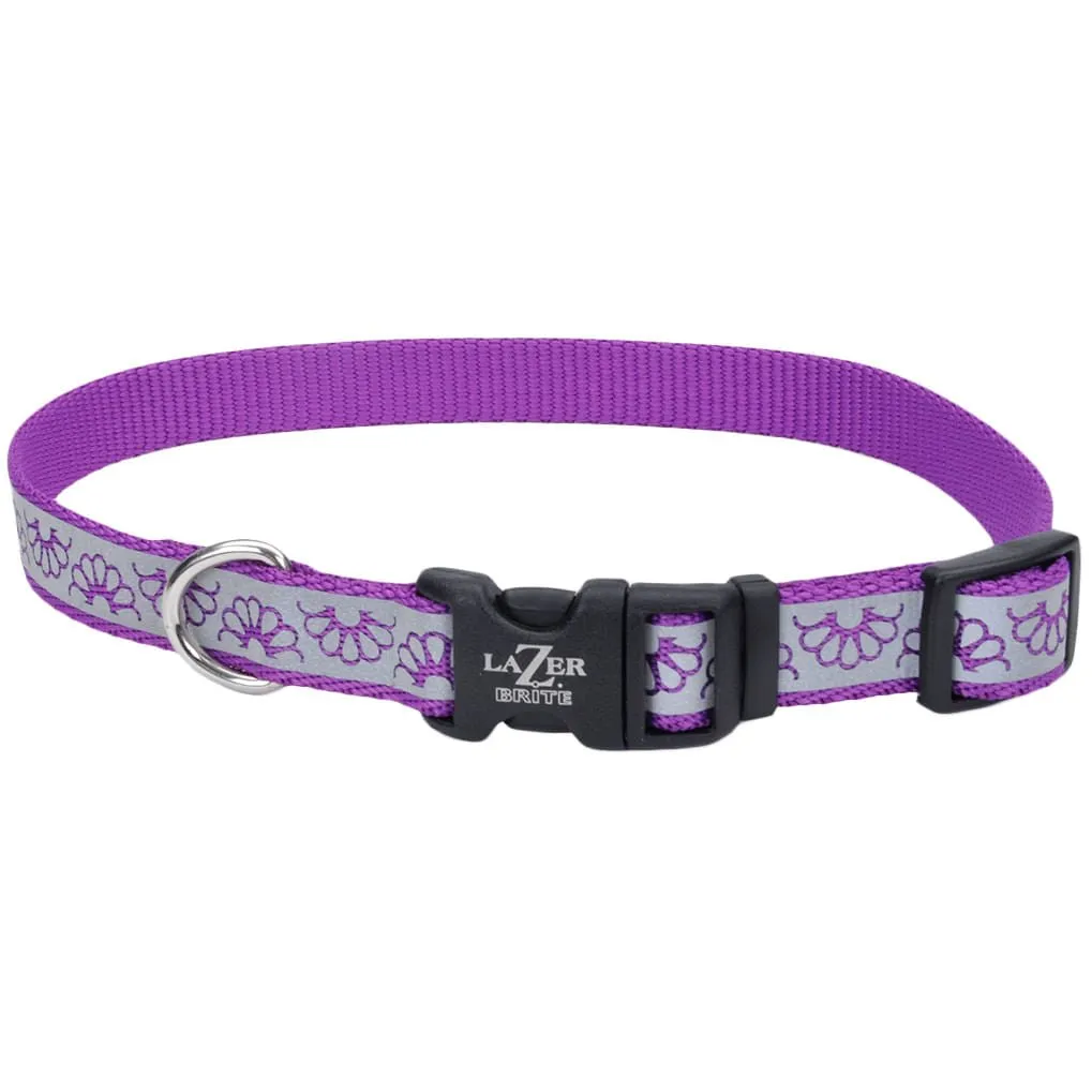 Lazer Brite Dog Collar, 12"-18" x 5/8"