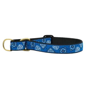 Martingale Collar | Blue Bandana