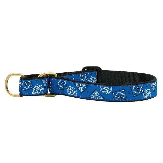 Martingale Collar | Blue Bandana