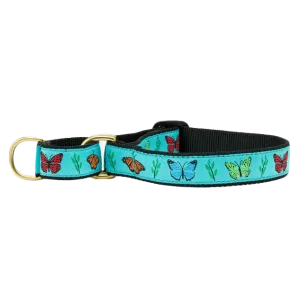 Martingale Collar | Butterfly Effect