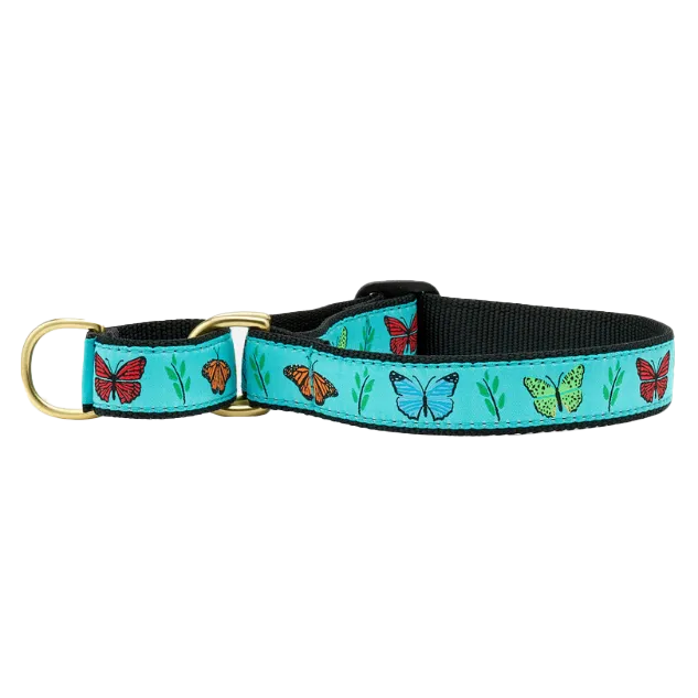 Martingale Collar | Butterfly Effect