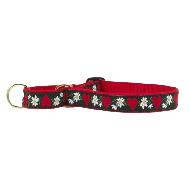 Martingale Collar | Hearts & Flowers