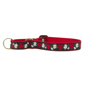 Martingale Collar | Hearts & Flowers