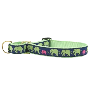 Martingale Collar | Leader Of The Pach