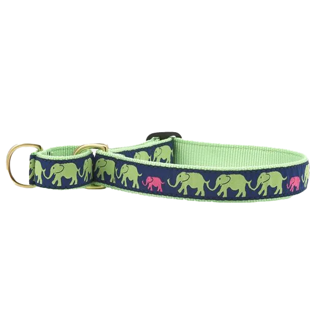 Martingale Collar | Leader Of The Pach