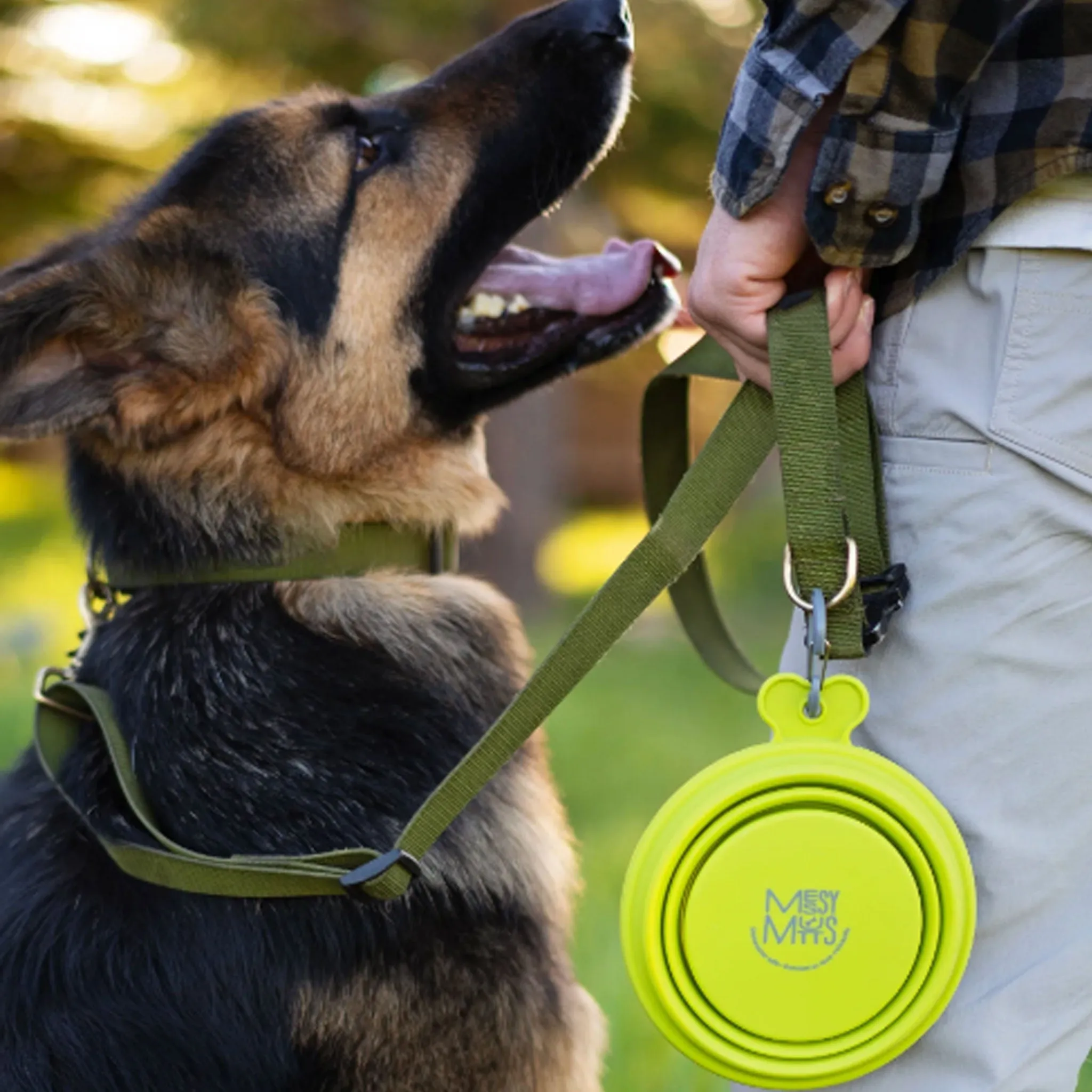 Messy Mutts Silicone Collapsible Bowl - Green