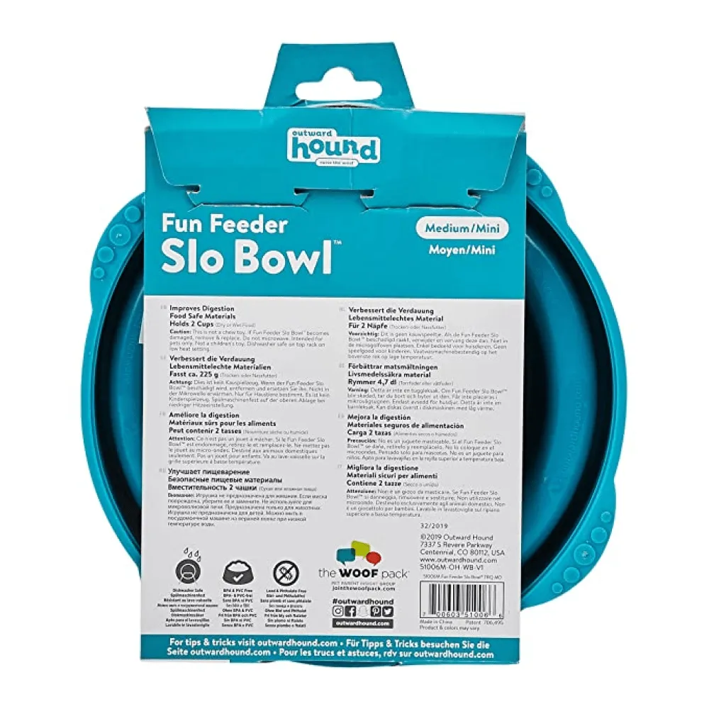 Outward Hound Fun/Slow Feeder for Dogs (Green Blue)