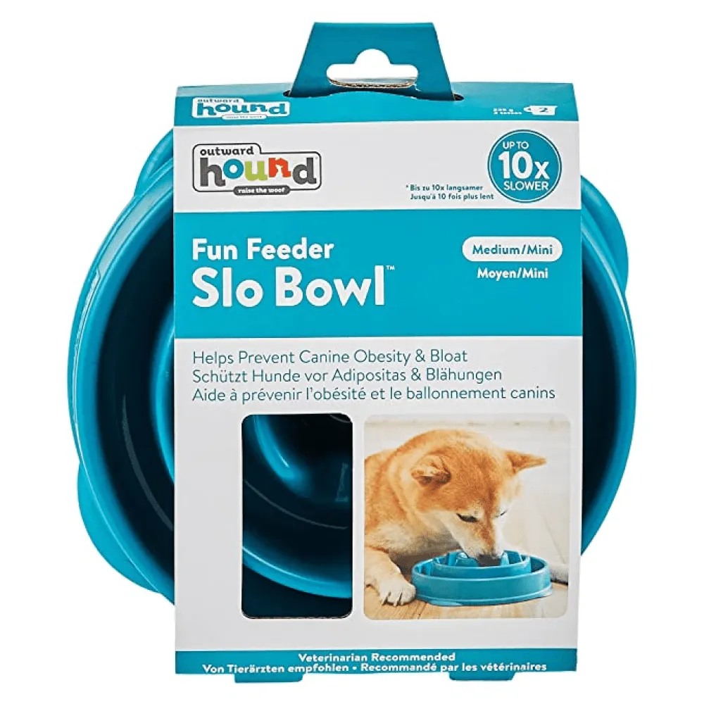 Outward Hound Fun/Slow Feeder for Dogs (Green Blue)