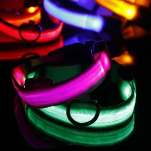 Pet Safety LED Collar