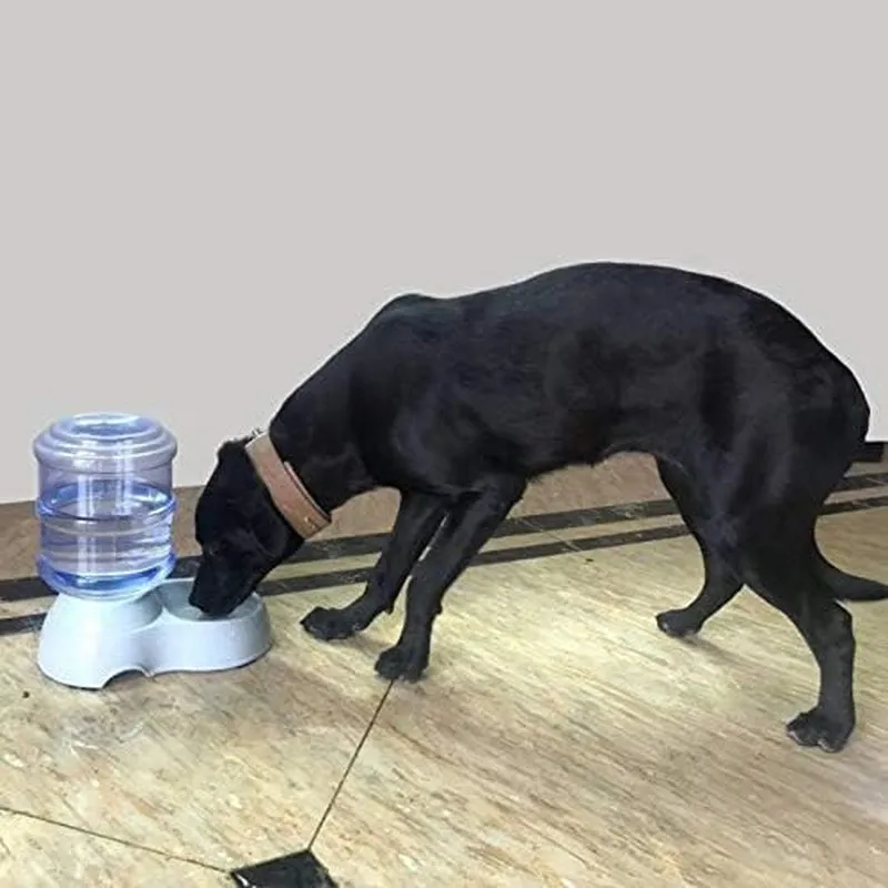 Pet Water Dispenser Station Automatic Gravity Waterer Replenish Self-Dispensing Drinking Fountain Dog Cat Animal Bowl Dish Stand