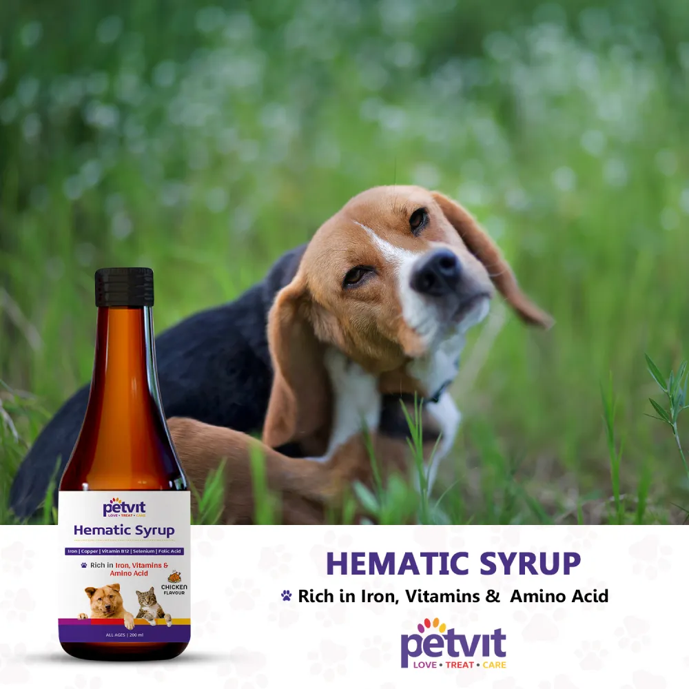 Petvit Hematic Syrup for Dogs and Cats