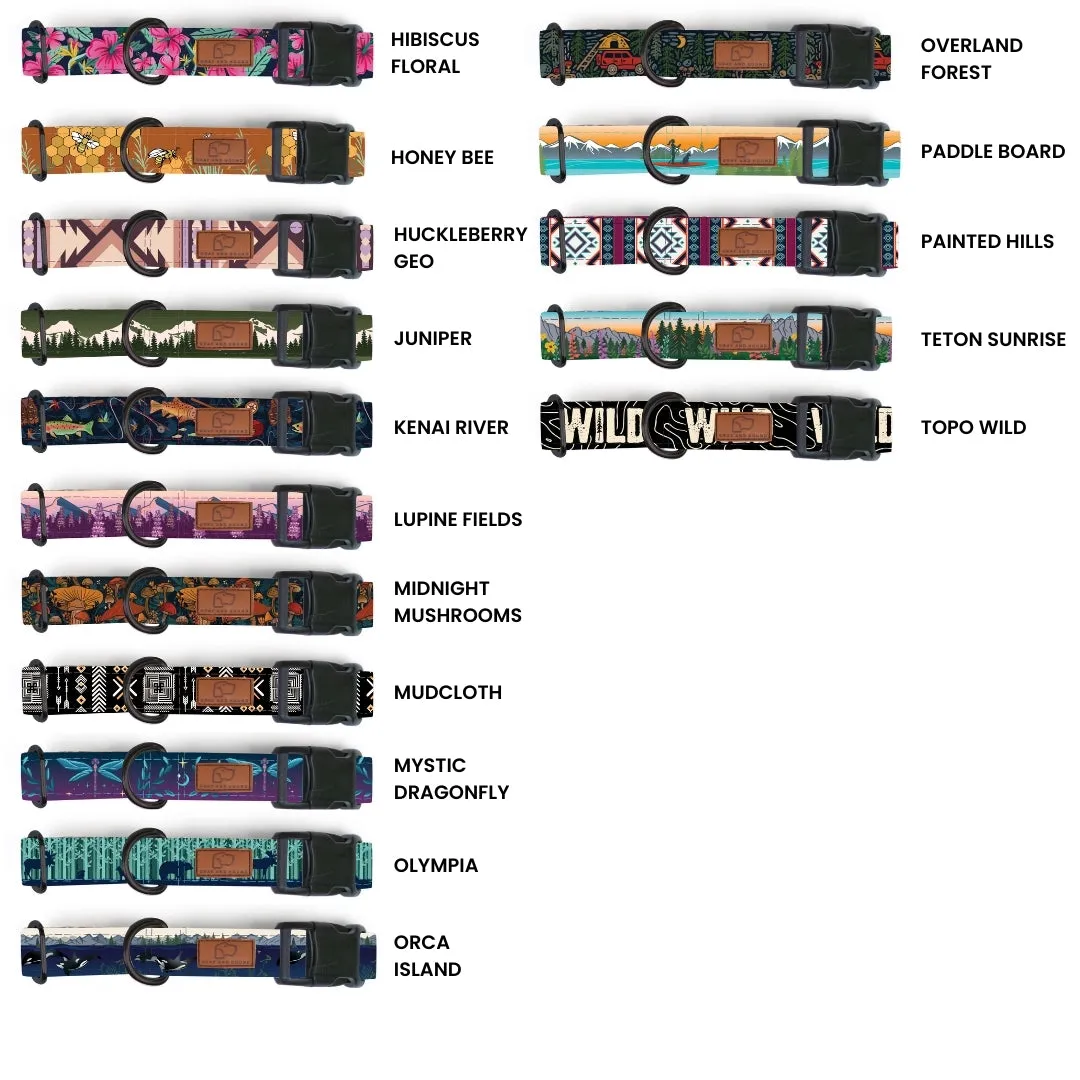 Plastic Buckle Dog Collar Two Pack (choose your designs)