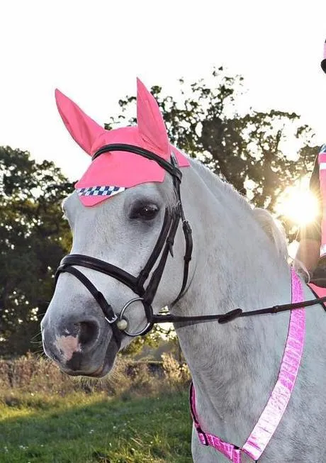 POLITE Reflective Hi Vis Horse Ear Covers - PINK