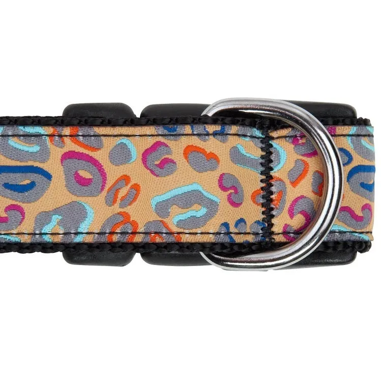 RC Pets Patterned Adjustable Clip Collar, Maze