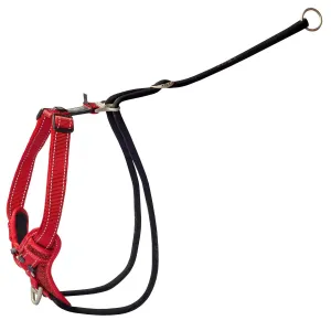 Rogz Control Stop Pull Dog Harness Red Extra Large^^^