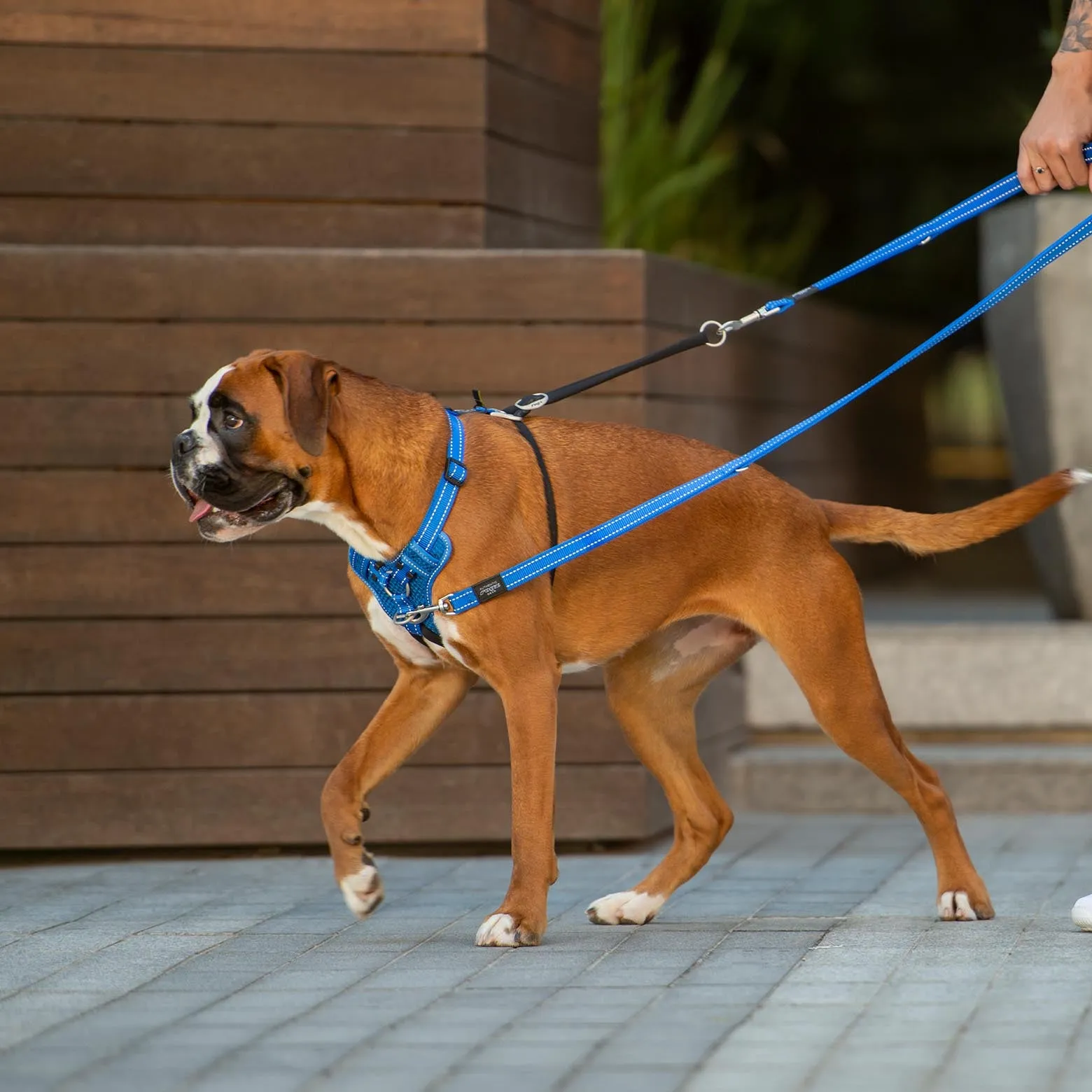 Rogz Control Stop Pull Dog Harness Red Extra Large^^^