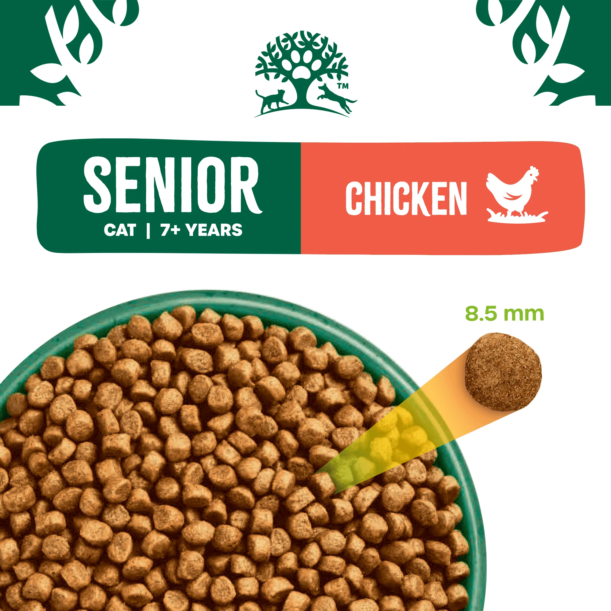 Senior Chicken Dry Cat Food