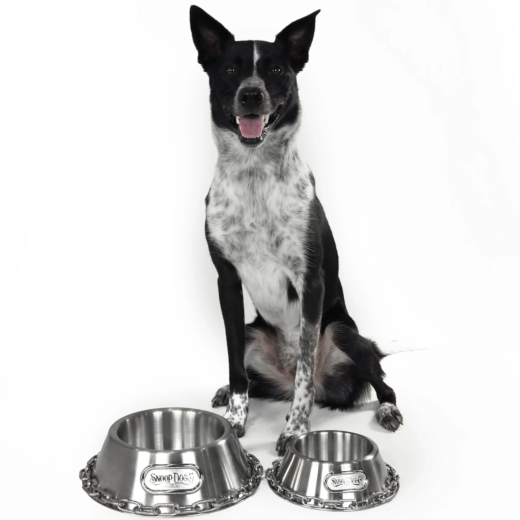 Snoop Doggie Doggs Off the Chain Dog Bowl - Silver