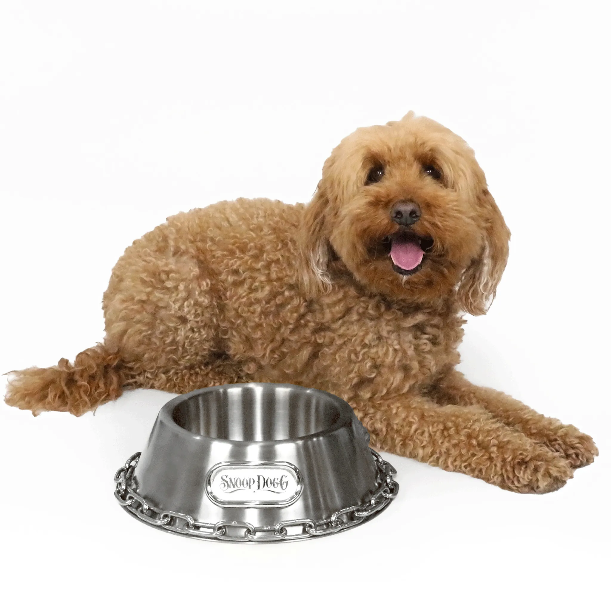 Snoop Doggie Doggs Off the Chain Dog Bowl - Silver