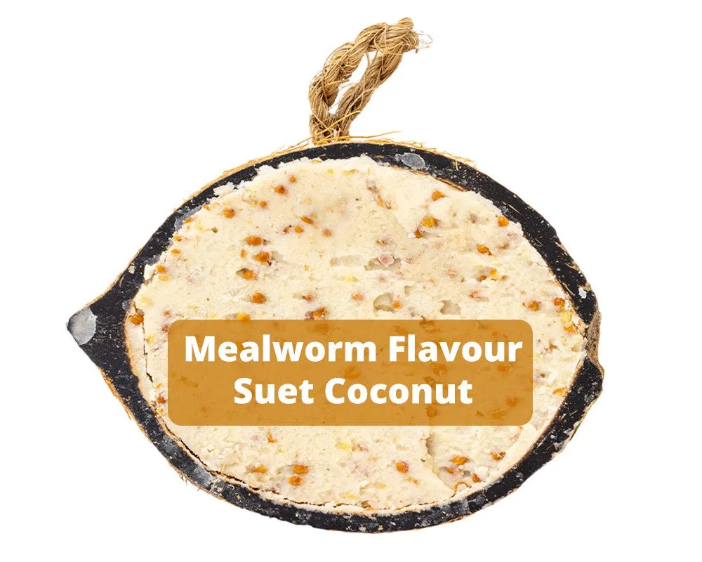 Suet To Go Half Coconut Feeders with Mealworms