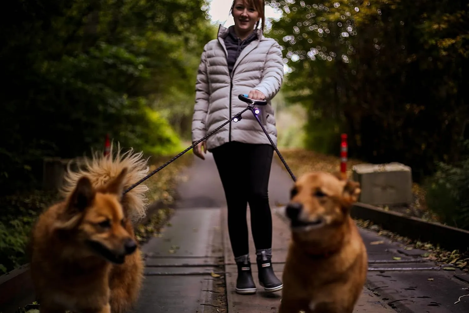 Tangle-Free Dog Leash  

2 Dog Leash Automatically Untangles with 360° Spin, Gel Handle - Reflective Rope. Optional Leds Light up to 25 FEET. Universal Size All Dogs, Black, Med/Lrg Size with 2 Rechargeable Lights