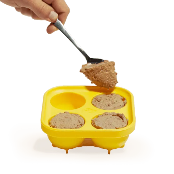 Woof Pupsicle Treat Tray