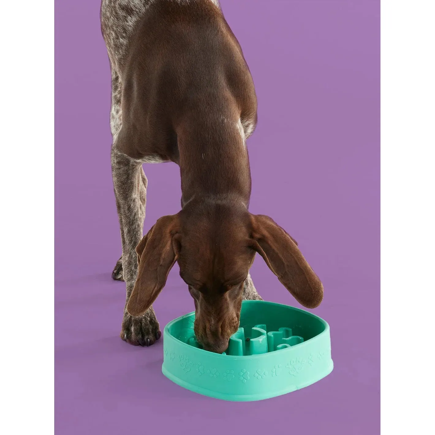 Yomp FunFeeder Slow Feeding BPA Free Food Grade Silicone Dog Bowl